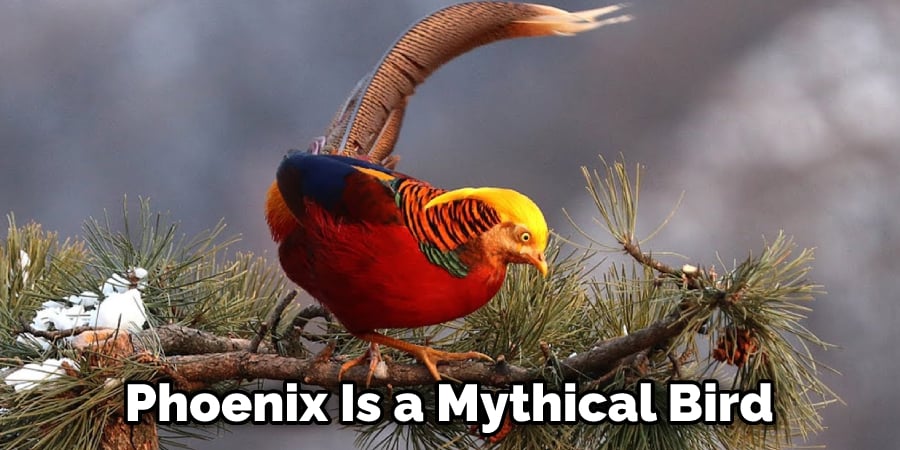 Phoenix Is a Mythical Bird 