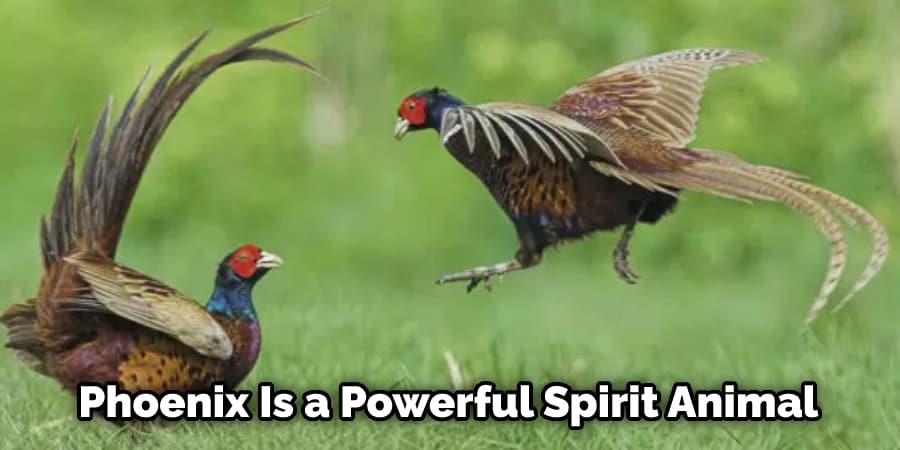 Phoenix Is a Powerful Spirit Animal
