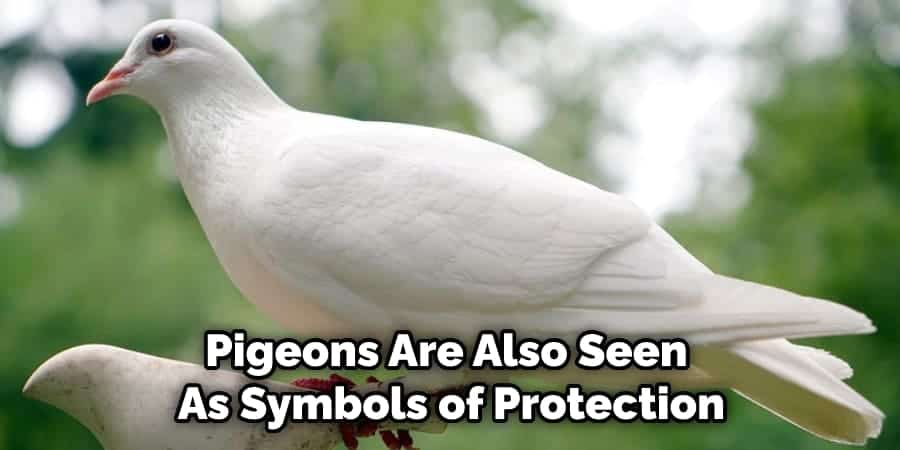 Pigeons Are Also Seen  As Symbols of Protection