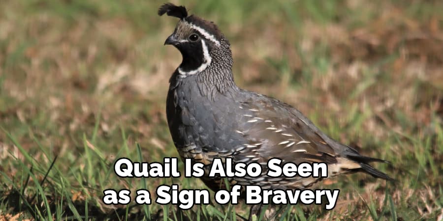 Quail Is Also Seen as a Sign of Bravery