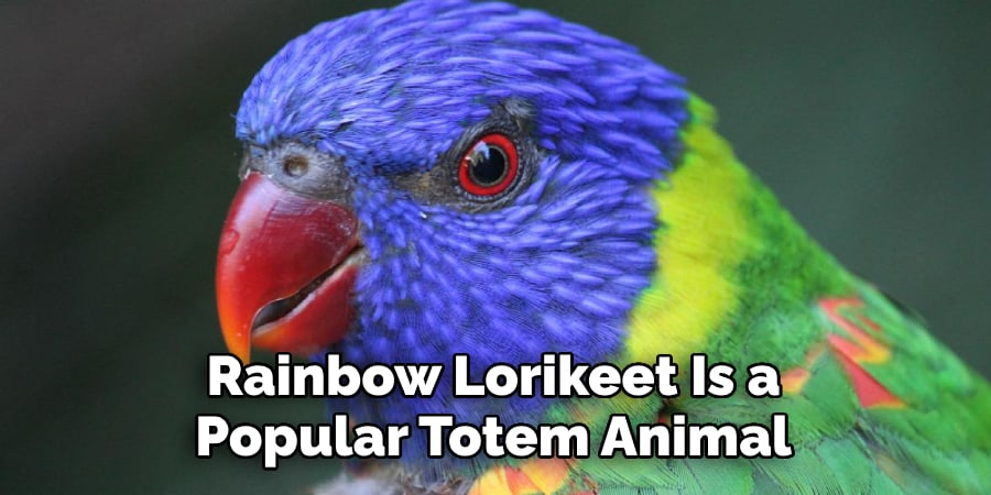 Rainbow Lorikeet Is a Popular Totem Animal
