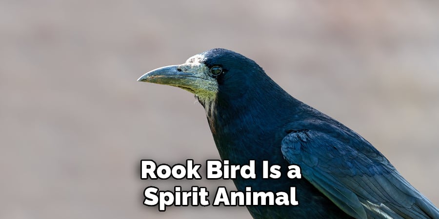 Rook Bird Is a Spirit Animal