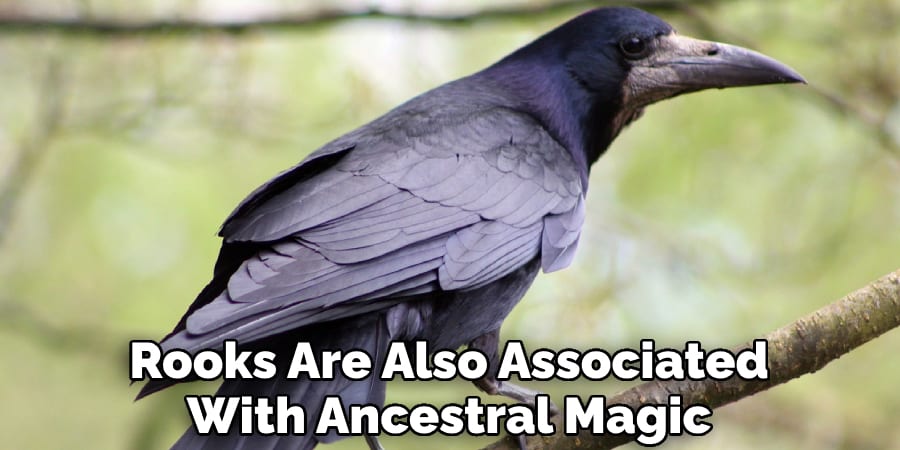 Rooks Are Also Associated  With Ancestral Magic