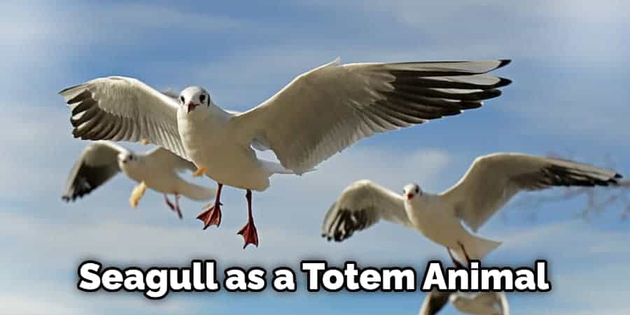 Seagull as a Totem Animal