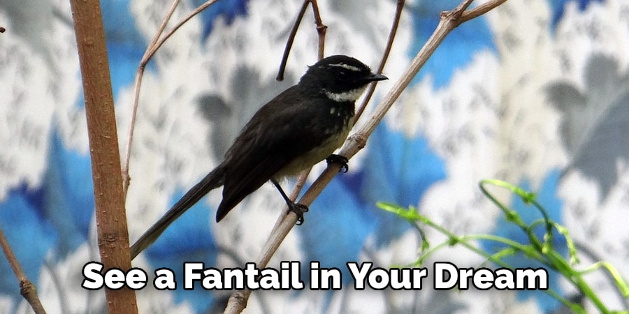 See a Fantail in Your Dream