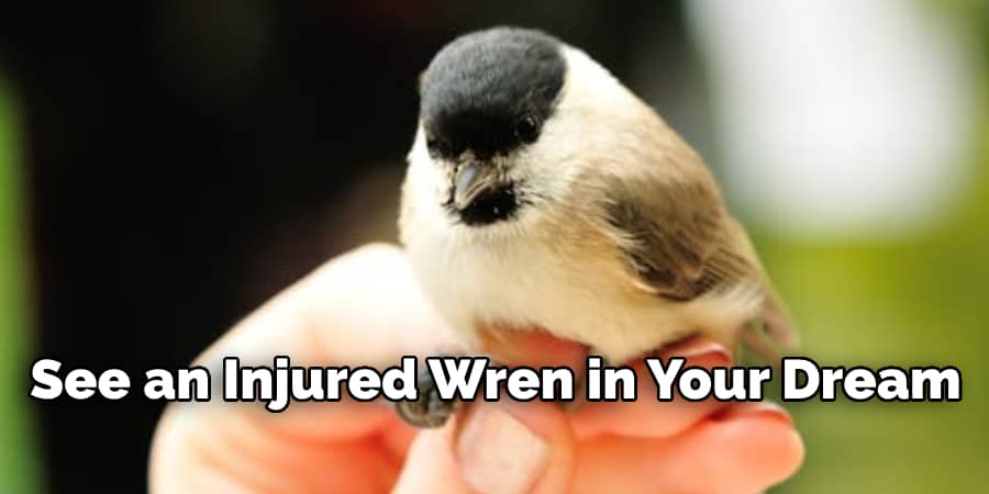 See an Injured Wren in Your Dream