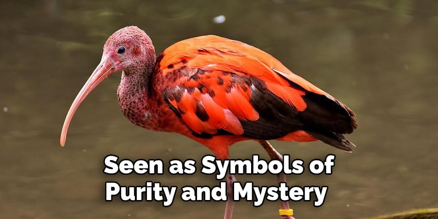  Seen as Symbols of Purity and Mystery