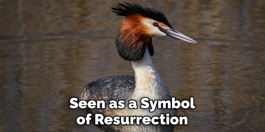 Seen as a Symbol of Resurrection