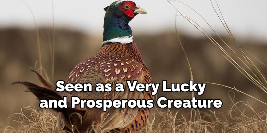 Seen as a Very Lucky  and Prosperous Creature