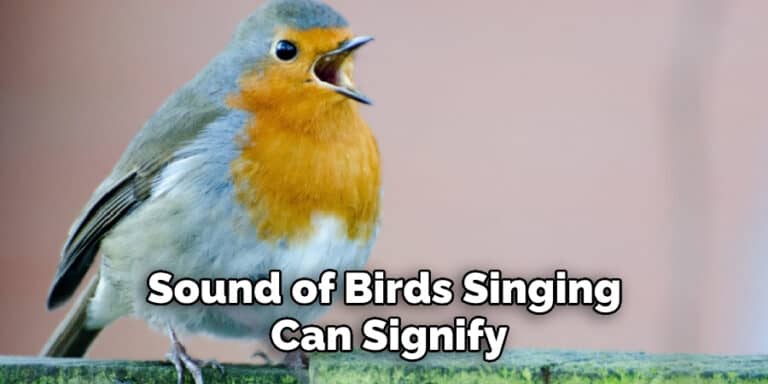 Hearing Birds Chirping Meaning, Symbolism, and Totem Explained