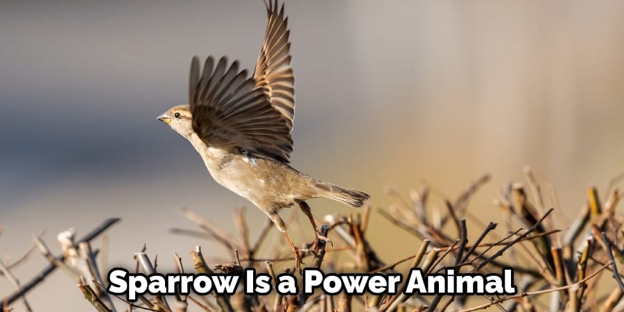 Sparrow Is a Power Animal