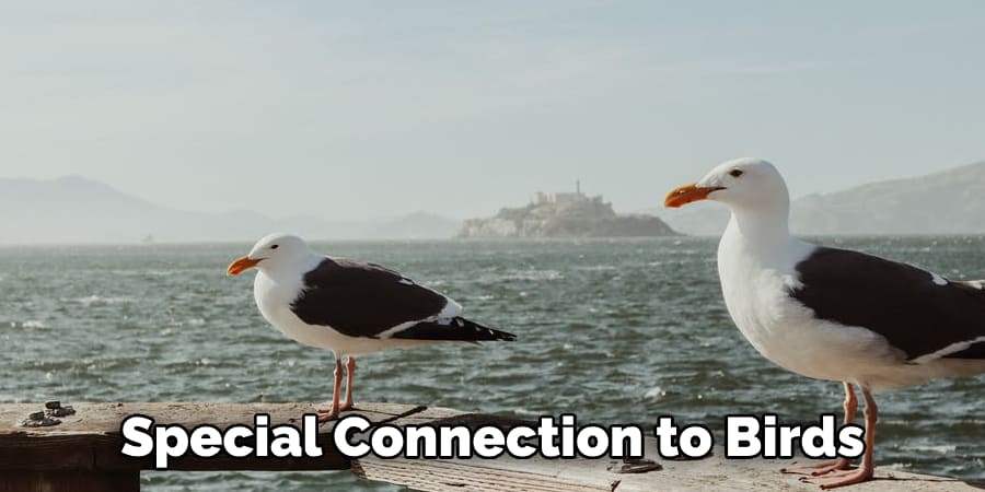 Special Connection to Birds