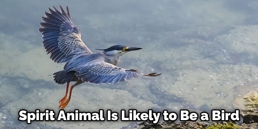 Spirit Animal Is Likely to Be a Bird