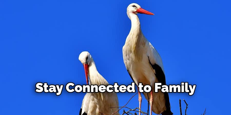  Stay Connected to Your Family 