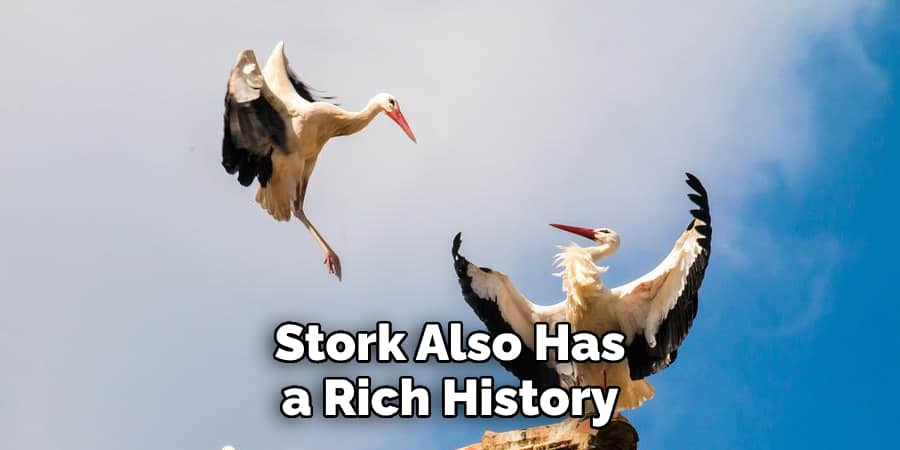 Stork Also Has a Rich History