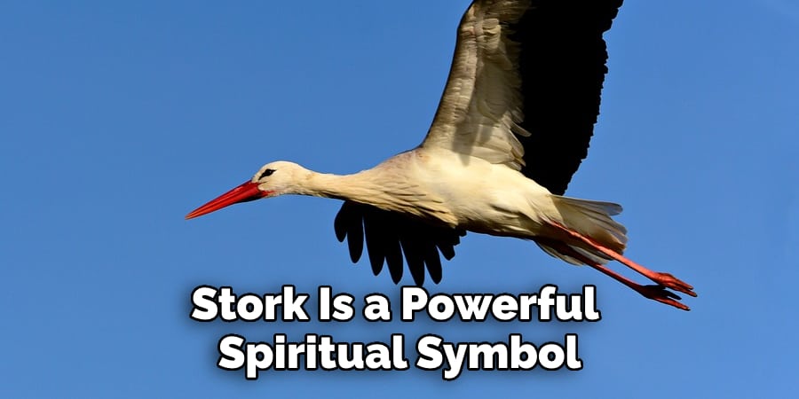 Stork Is a Powerful Spiritual Symbol