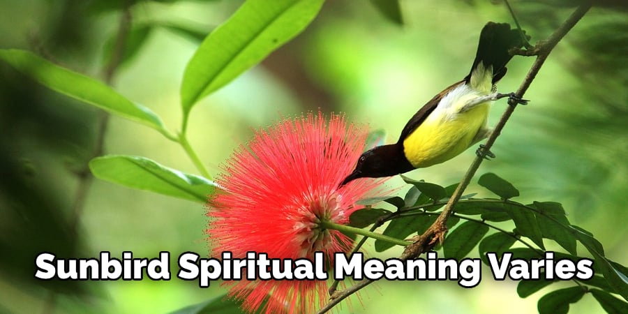 Sunbird Spiritual Meaning Varies