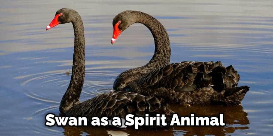 Swan as a Spirit Animal
