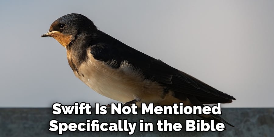  Swift Is Not Mentioned Specifically in the Bible