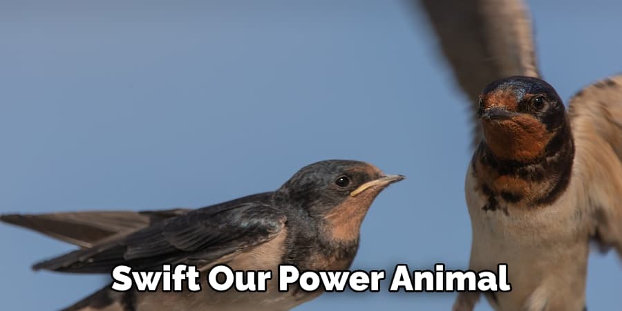 Swift Our Power Animal