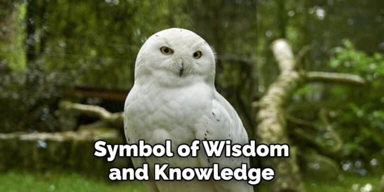 Snowy Owl Spiritual Meaning, Symbolism, and Totem | Explained