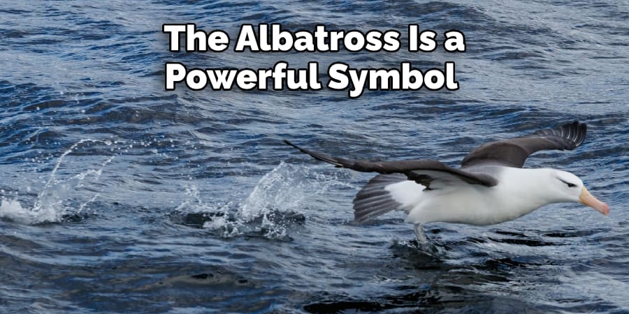The Albatross Is a Powerful Symbol 