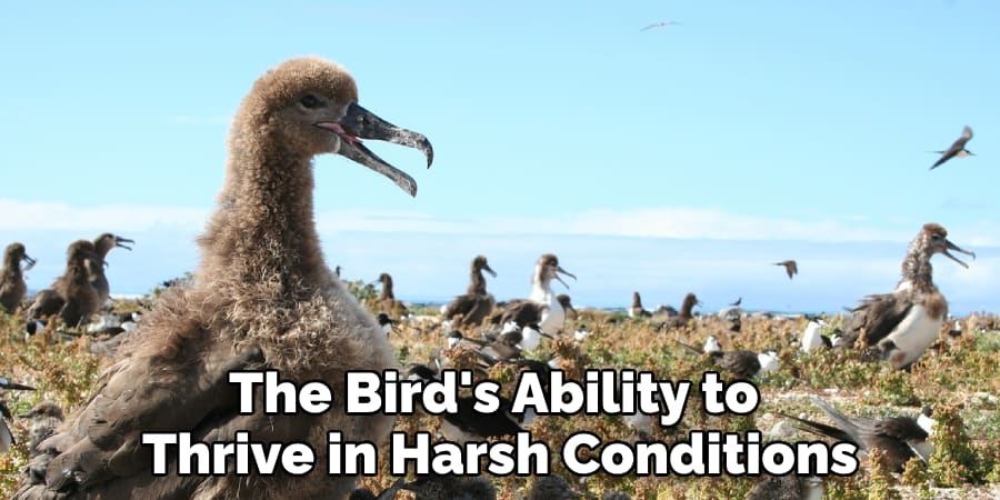 The Bird's Ability to Thrive in Harsh Conditions