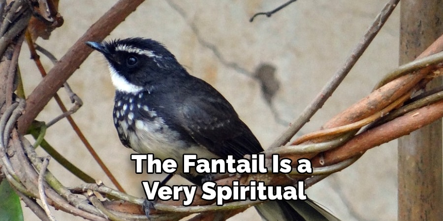 The Fantail Is a Very Spiritual