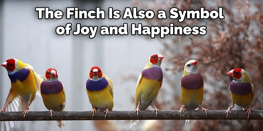 The Finch Is Also a Symbol of Joy and Happiness