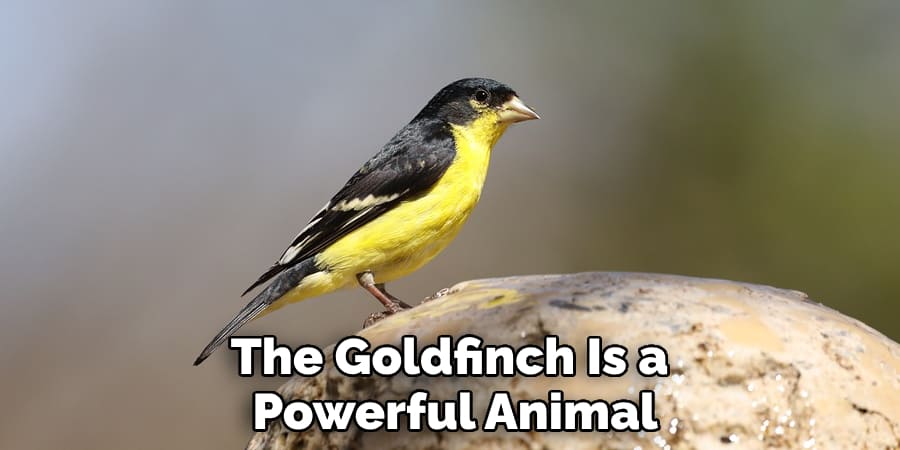 The Goldfinch Is a Powerful Animal