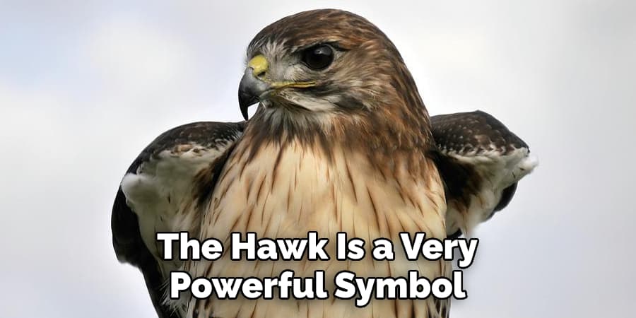 The Hawk Is a Very Powerful Symbol