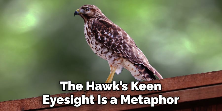The Hawk’s Keen Eyesight Is a Metaphor