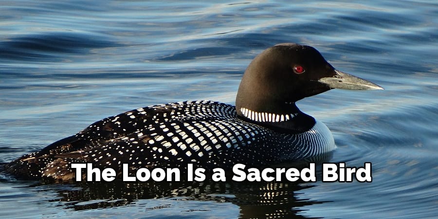 The Loon Is a Sacred Bird