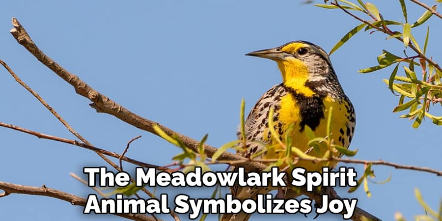 The Meadowlark Spirit Animal Symbolizes Joy