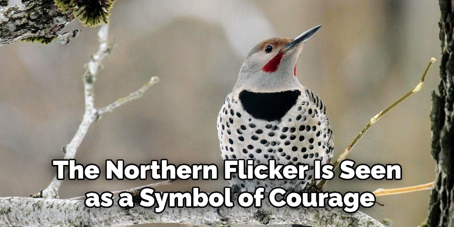 The Northern Flicker Is Seen as a Symbol of Courage