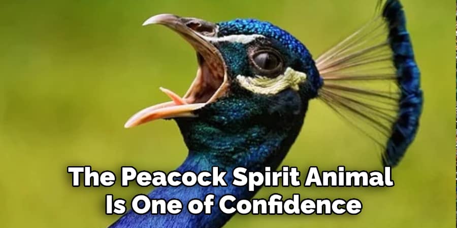 The Peacock Spirit Animal  Is One of Confidence