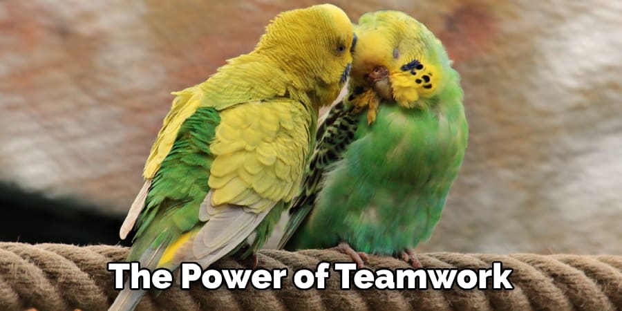 The Power of Teamwork