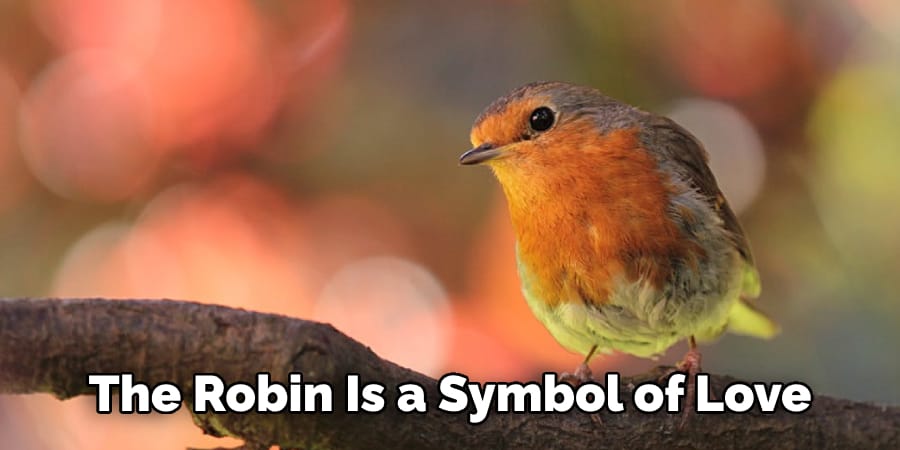 The Robin Is a Symbol of Love