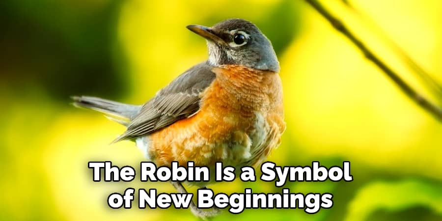 The Robin Is a Symbol of New Beginnings