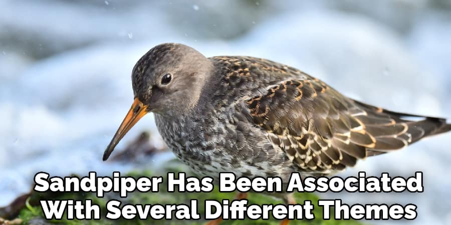 The Sandpiper Has Been Associated With Several Different Themes