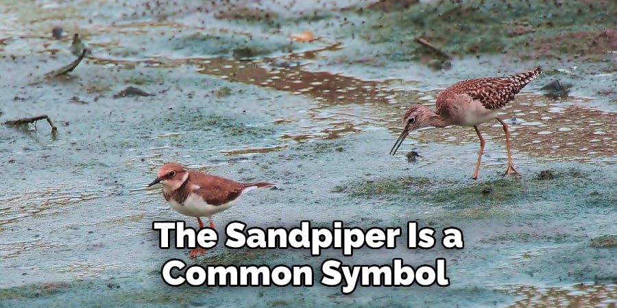 The Sandpiper Is a Common Symbol 