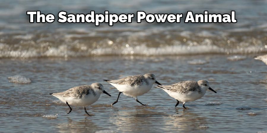 The Sandpiper Power Animal 