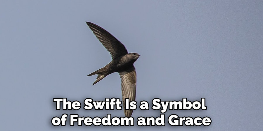 The Swift Is a Symbol of Freedom and Grace