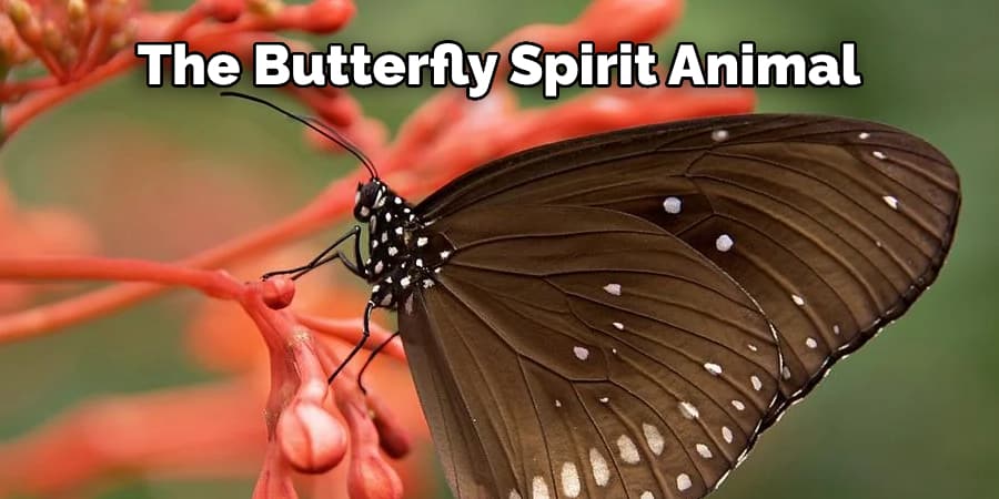 The butterfly spirit animal