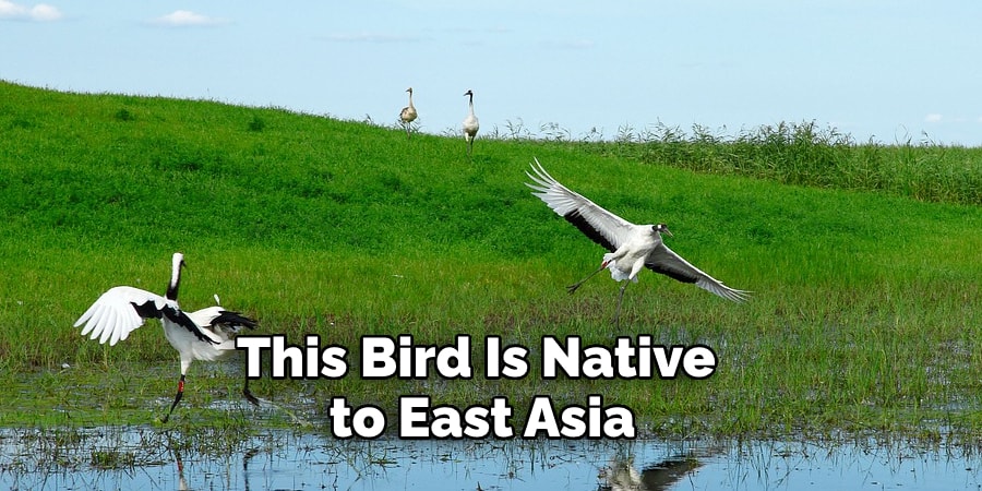 This Bird Is Native to East Asia