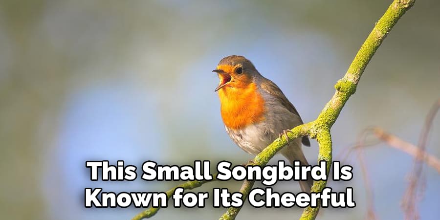 This Small Songbird Is Known for Its Cheerful