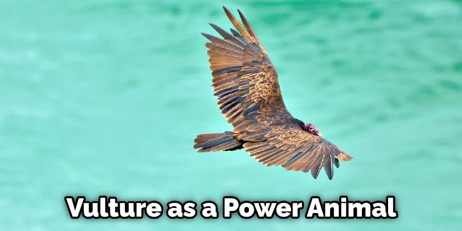 Vulture as a Power Animal