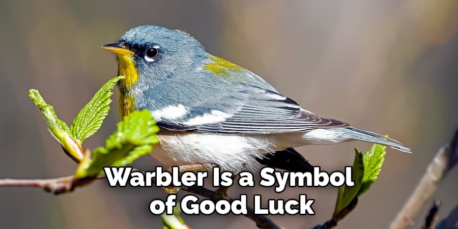 Warbler Is a Symbol of Good Luck