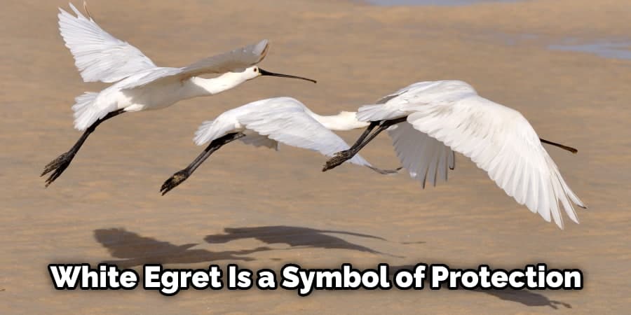 White Egret Is a Symbol of Protection