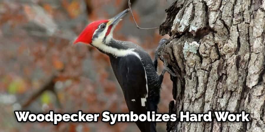 Woodpecker Symbolizes Hard Work